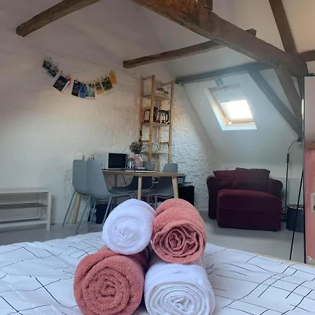 Cozy Loft In Private House At The Center Of Lejlighed *