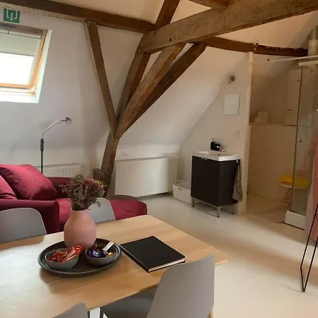 Apartment Cozy Loft In Private House At The Center Of