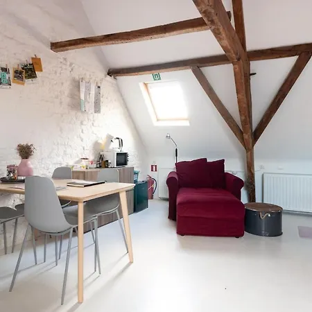 Cozy Loft In Private House At The Center Of * خنت