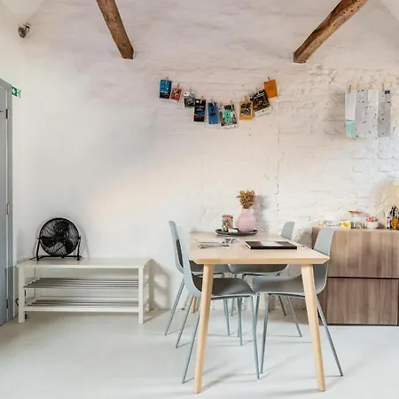 Cozy Loft In Private House At The Center Of Apartment Gent