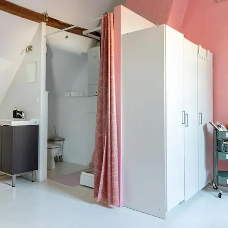 Apartment Cozy Loft In Private House At The Center Of