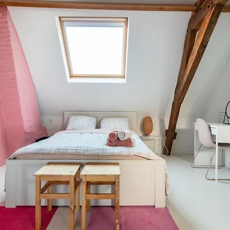 Apartment Cozy Loft In Private House At The Center Of *