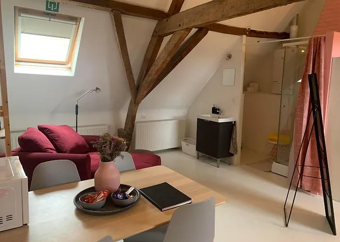 Apartment Cozy Loft In Private House At The Center Of