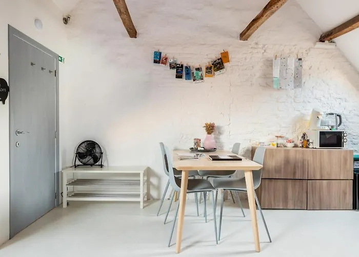 Cozy Loft In Private House At The Center Of Apartment Gent