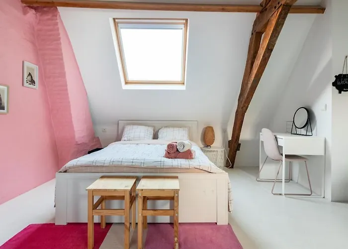 Apartment Cozy Loft In Private House At The Center Of *